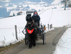 Leo út de Polder V026