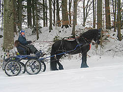 Leo út de Polder V026